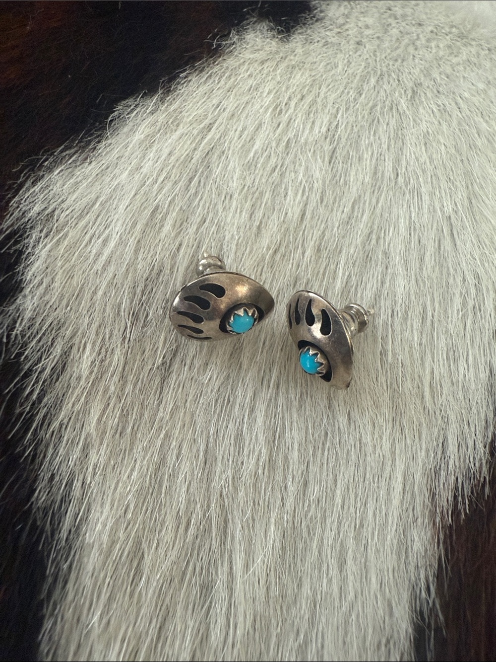 Sterling Silver Turquoise Bear Claw Stud Earrings - Blue